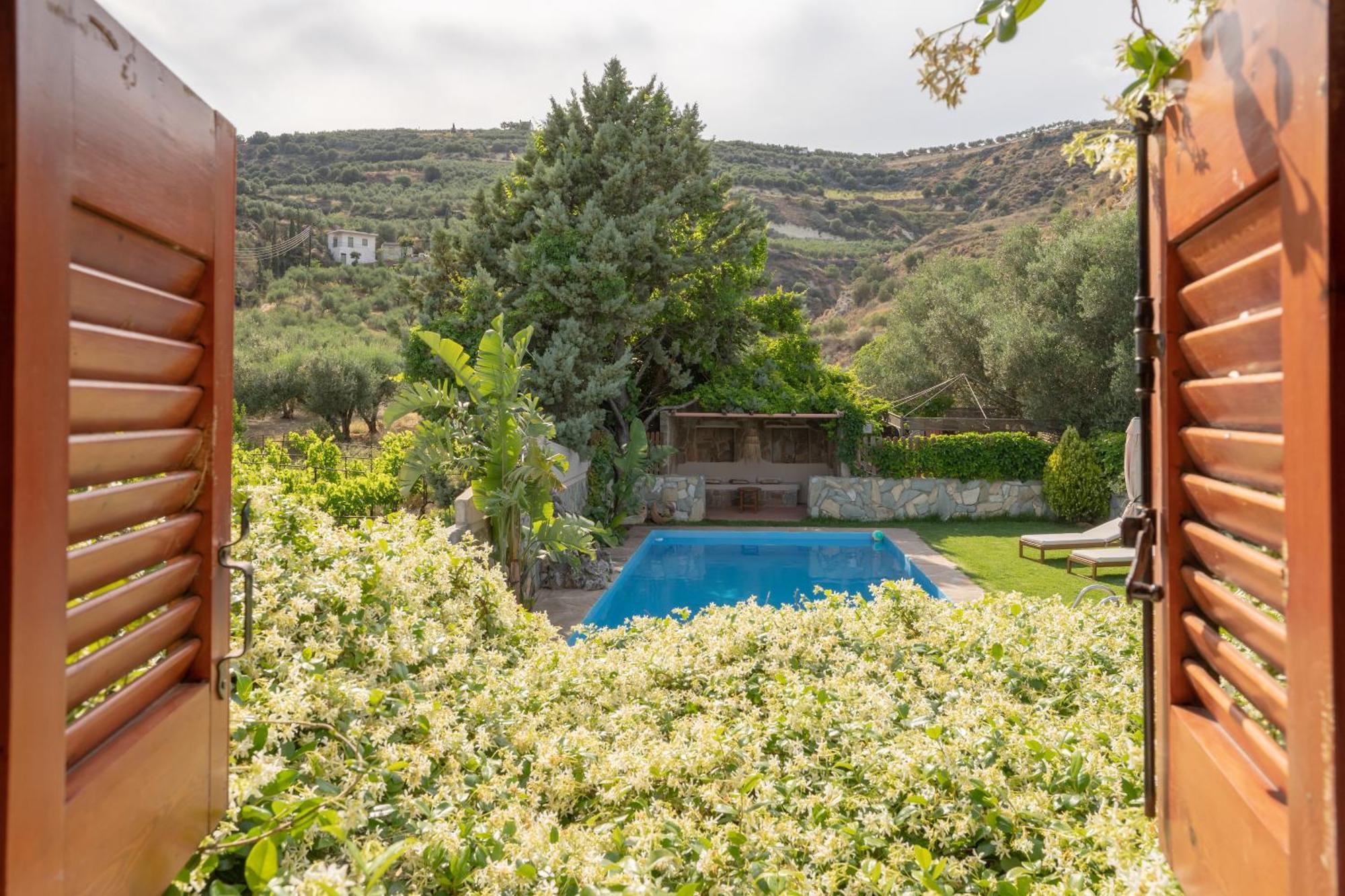 Dm Elegant And Charming Villa Foinikia  Экстерьер фото