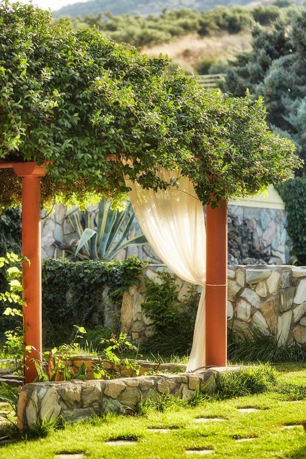 Dm Elegant And Charming Villa Foinikia  Экстерьер фото